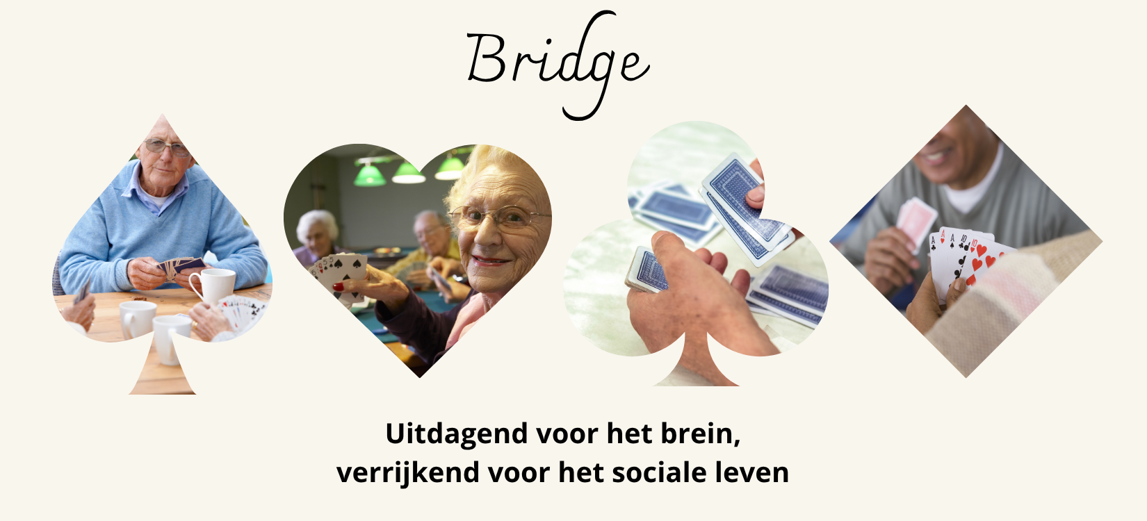 Bridge: Uitdagend voor het brein, verrijkend voor het sociale leven