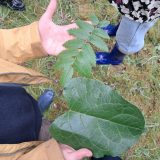 Help mee kinderen de natuur te laten beleven