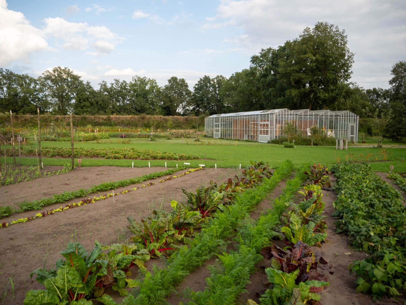 Dorpsakker zoekt buitenmensen