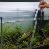 De Pronsweide zoekt vrijwilliger aquariumverzorging